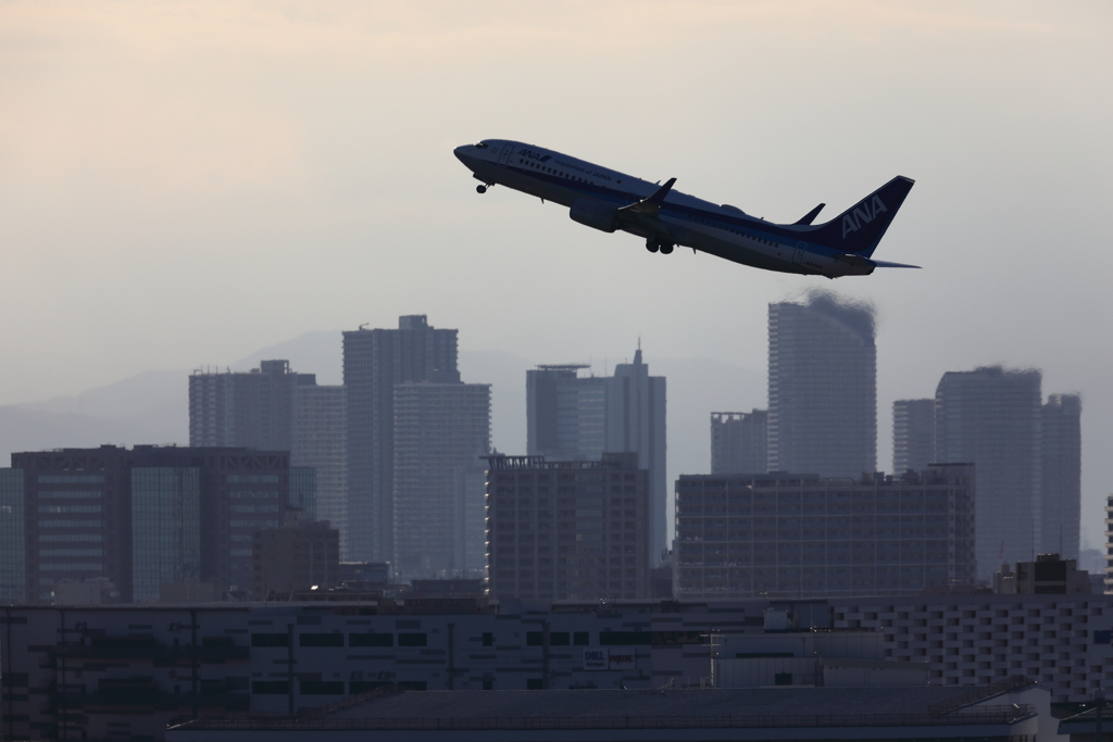 エアバスシルエット