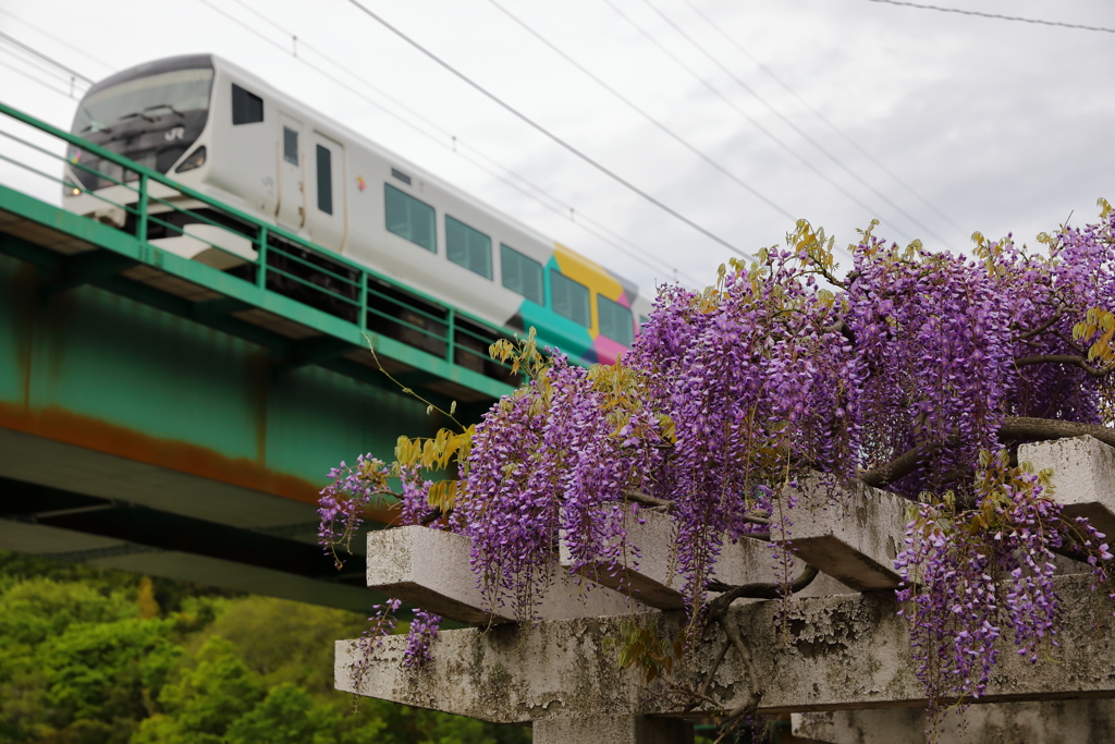 E257　かいじ送り込み
