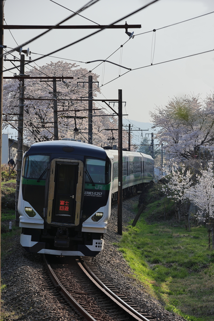 E257系