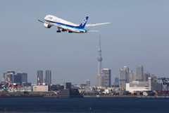 B787xスカイツリー