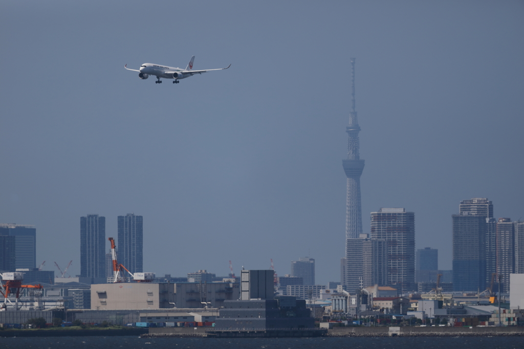 A350とスカイツリー