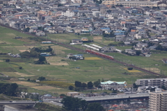GSE