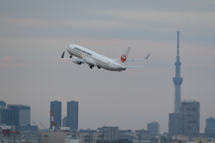 20201213018