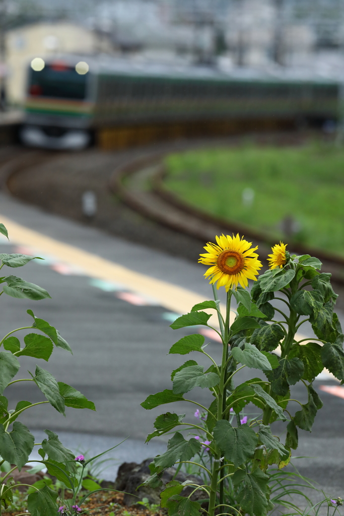 真鶴駅ホーム