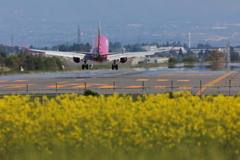 36エンド