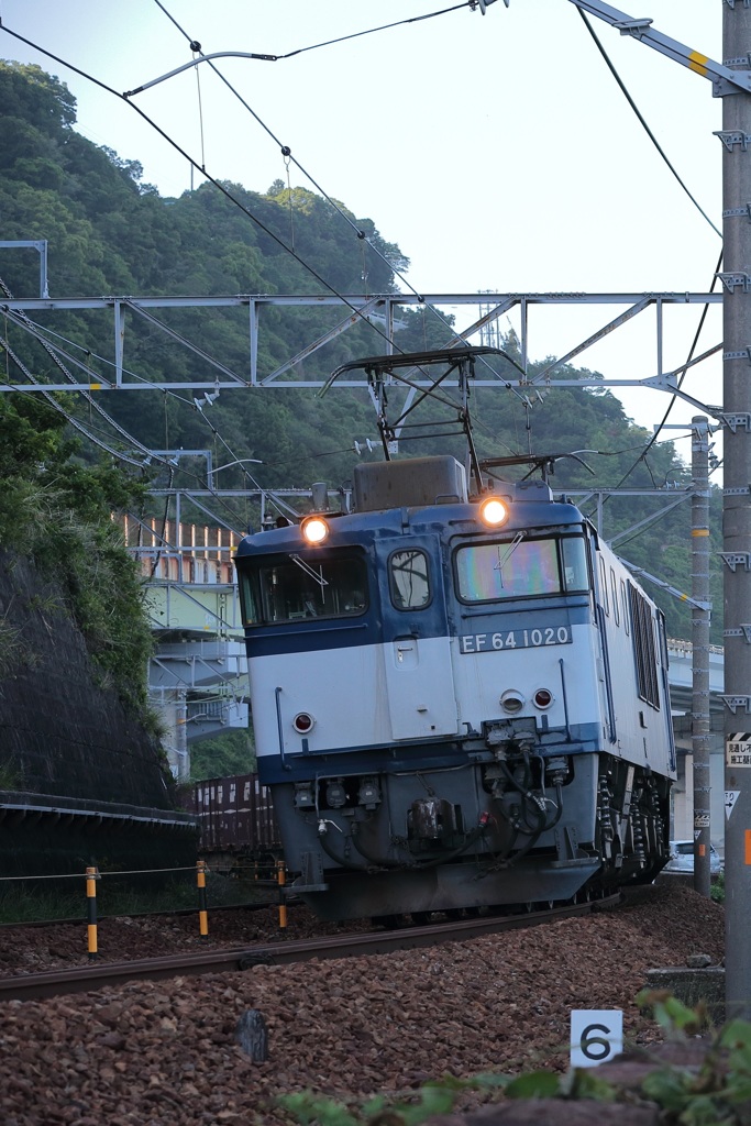 EF64