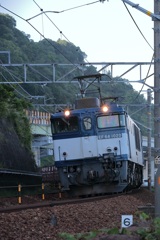 EF64
