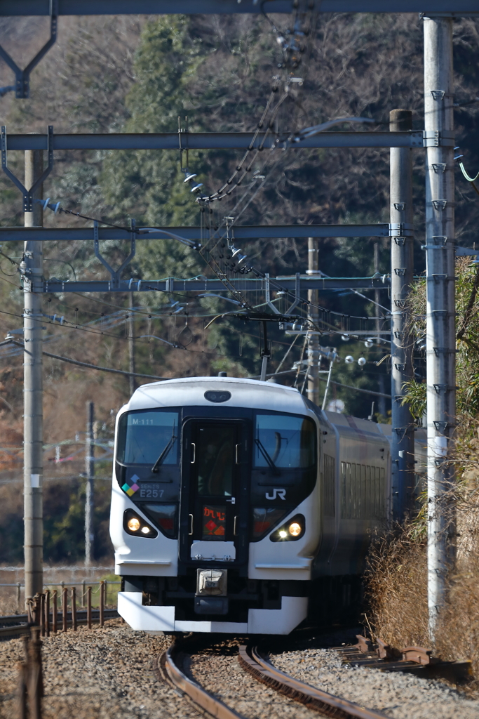 E257 かいじ58号　8158M