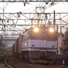 EF65-2076　3071レ