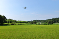 A380　フライングホヌ