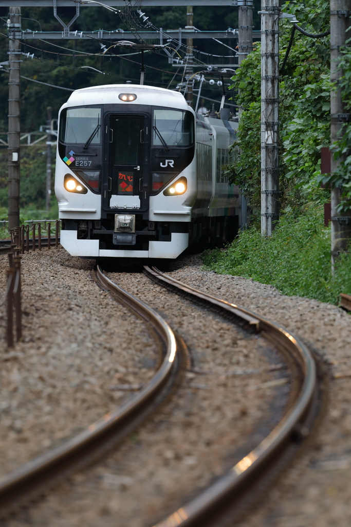 E257系かいじ70号
