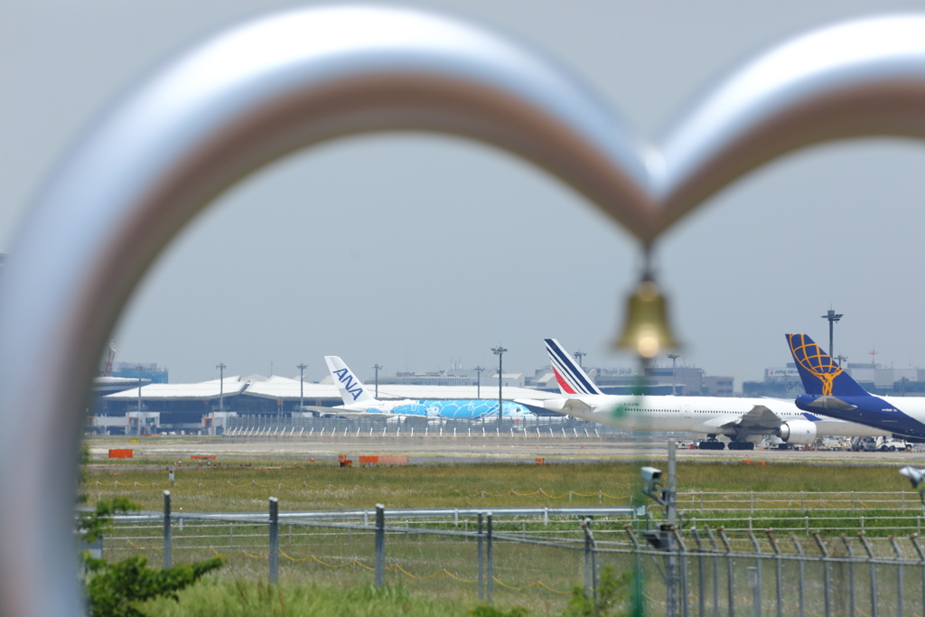 A380　フライングホヌ　ラニ君
