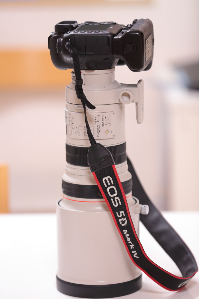 1型のタケノコが生えてきましたｗｗｗ