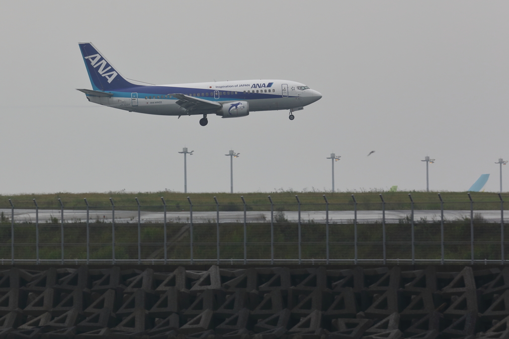 B735
