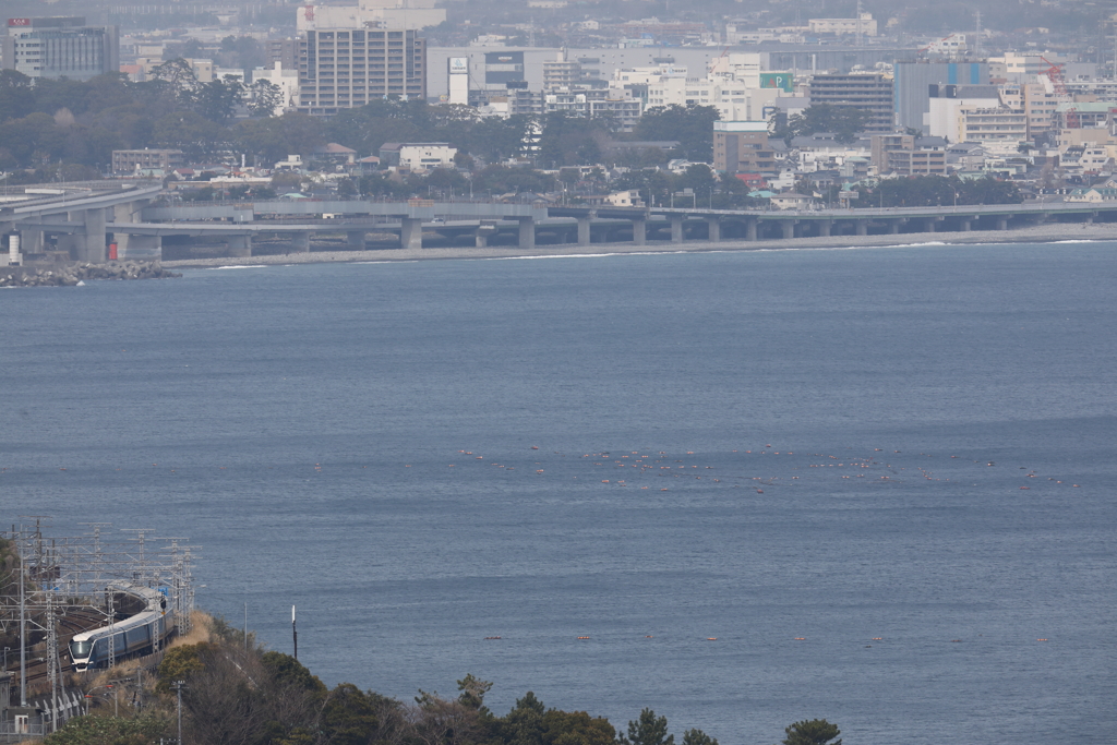サフィール踊り子