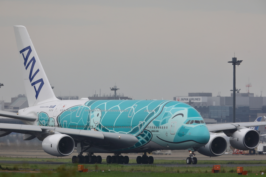フライングホヌ