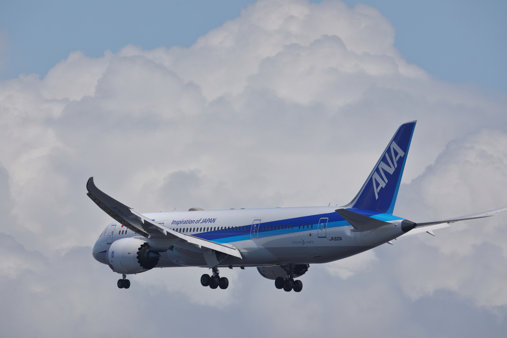 B787