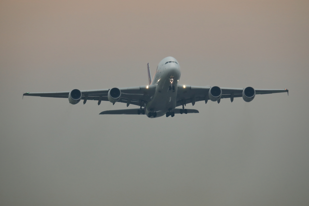 タイ航空　A380