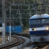 EF210