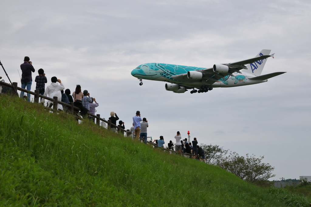A380 フライングホヌ