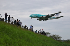 A380 フライングホヌ