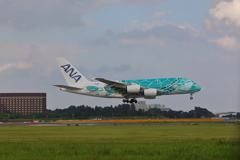 A380　フライングホヌ