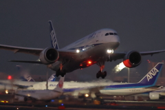 ANA787