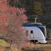 E353