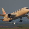 B787