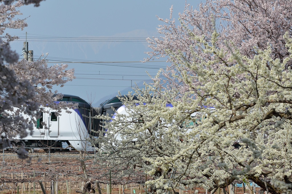 E353スーパーあずさ