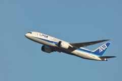 B787