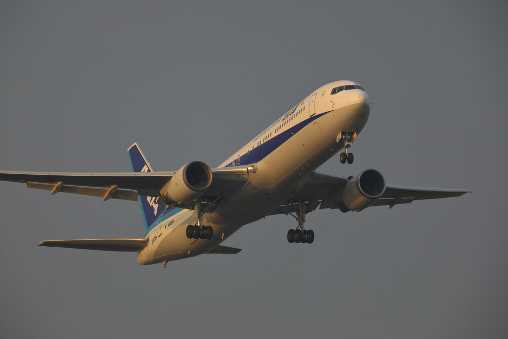 B767