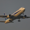 B767