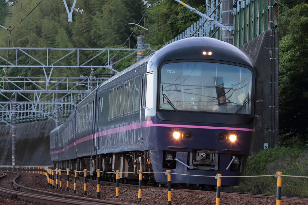 ４８５系　華　静岡トレインフェスタ号