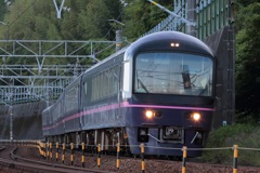 ４８５系　華　静岡トレインフェスタ号