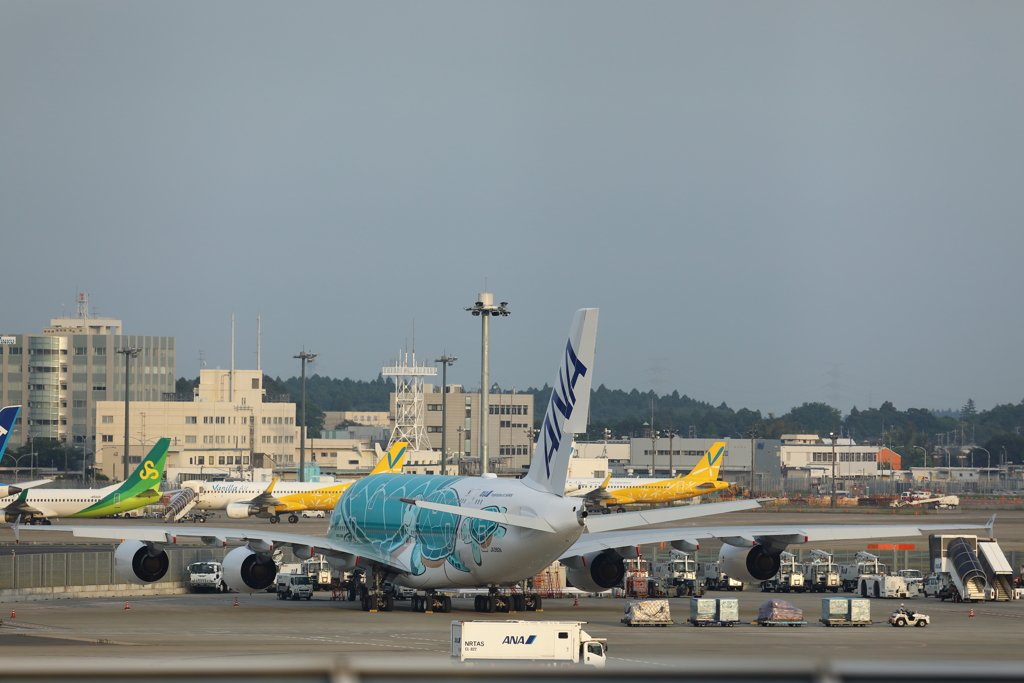 A380　フライングホヌ