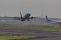 ポケモンB737