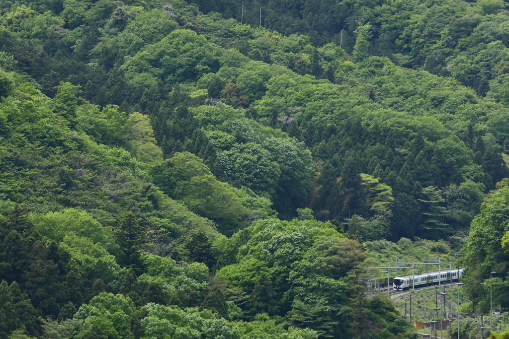 E257系　かいじ72号
