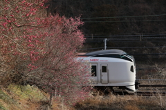 E259成田エクスプレス