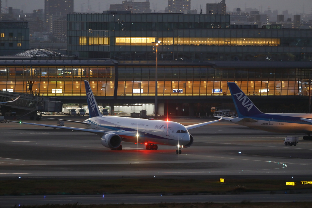 アンコリ787