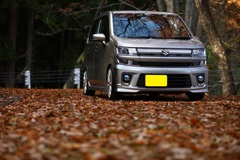 枯葉のカーペット