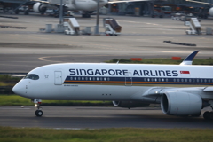 シンガポールたぬきさん