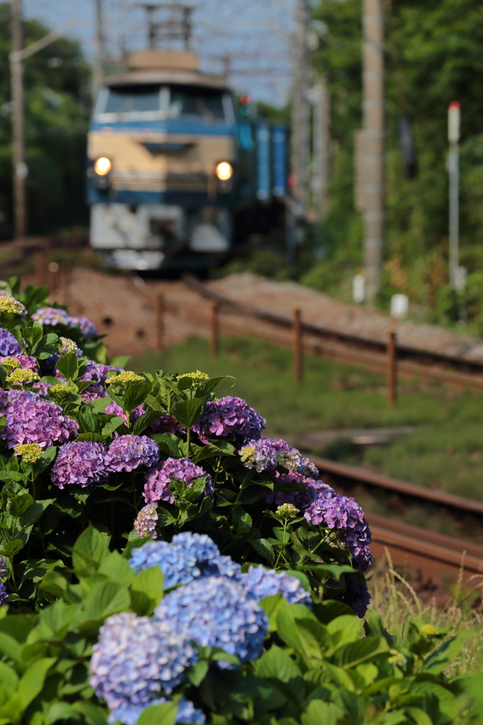 EF66 27 1097レ