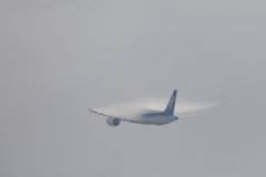 B787ベイパー
