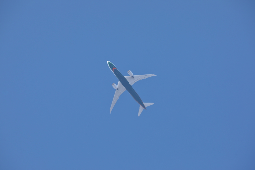 B787　EVA