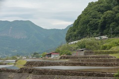１８５系　はまかいじ