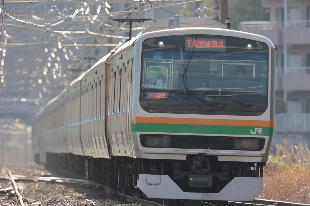 E231
