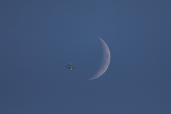 月丼ならずｗｗ