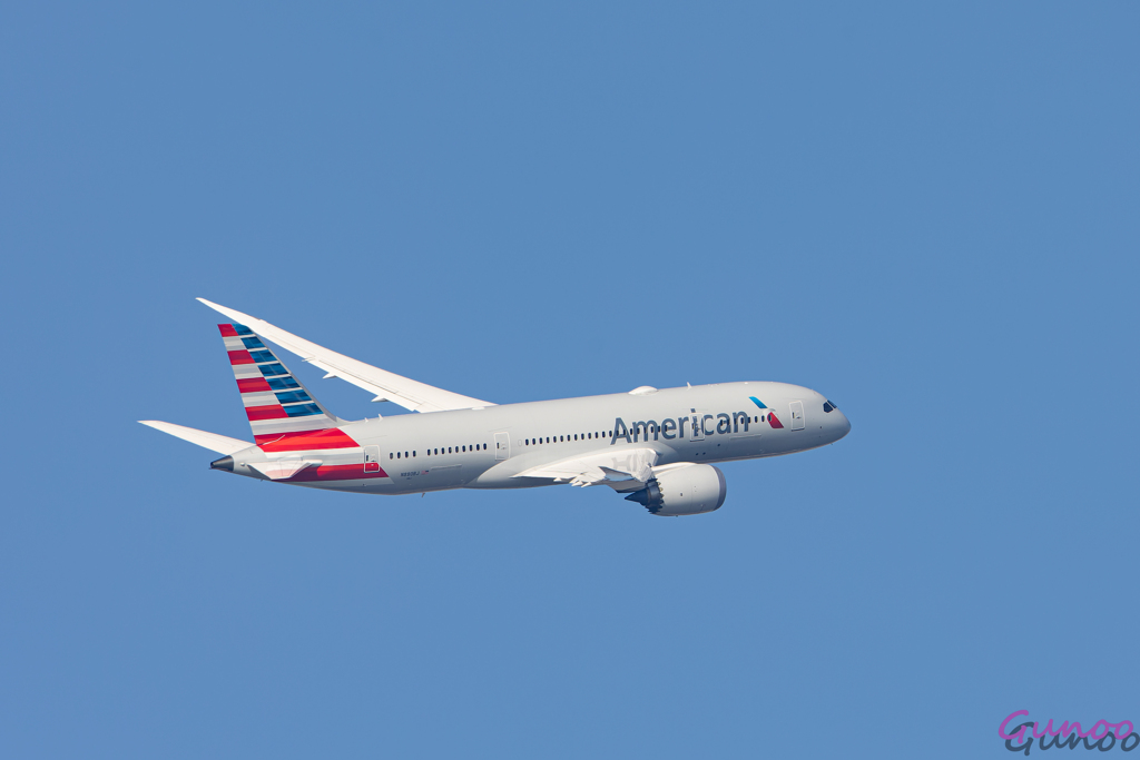 B787-8