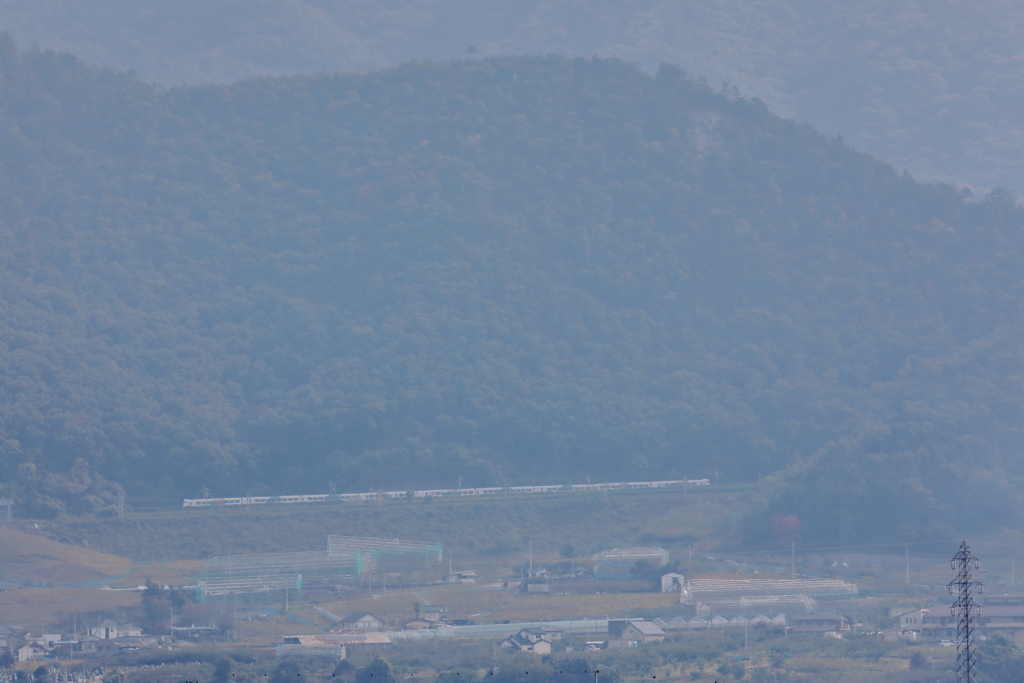 野焼き・・・・